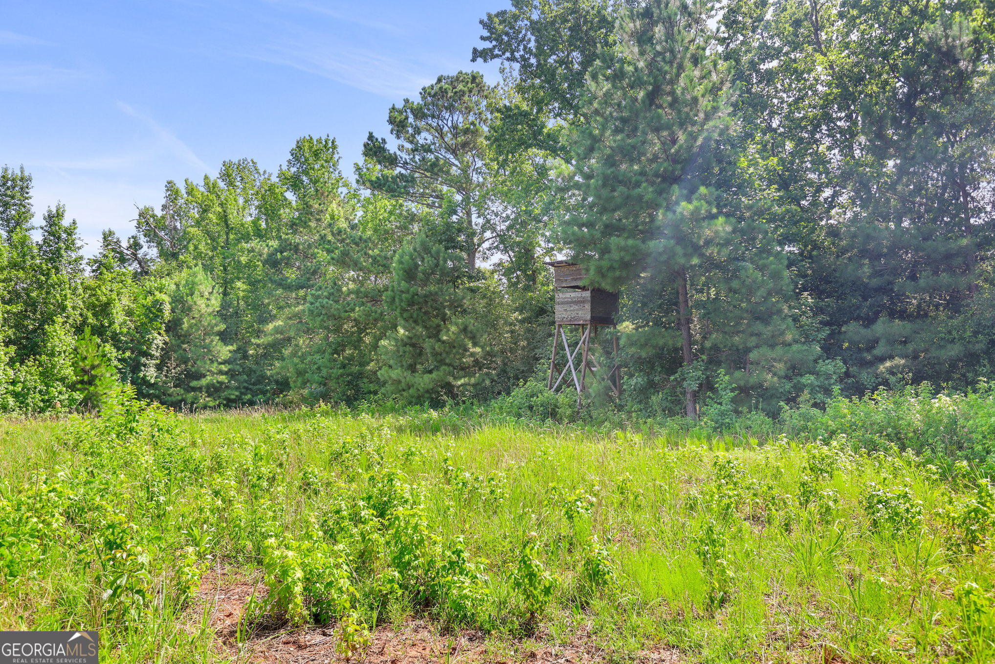 501 Raleigh Road Property Photo 117