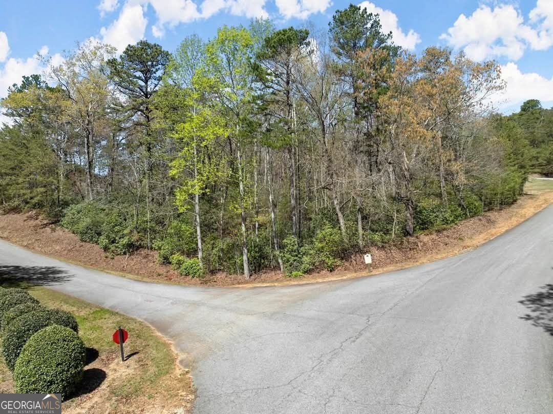 0 Scarlet Pippin Drive Property Photo 4