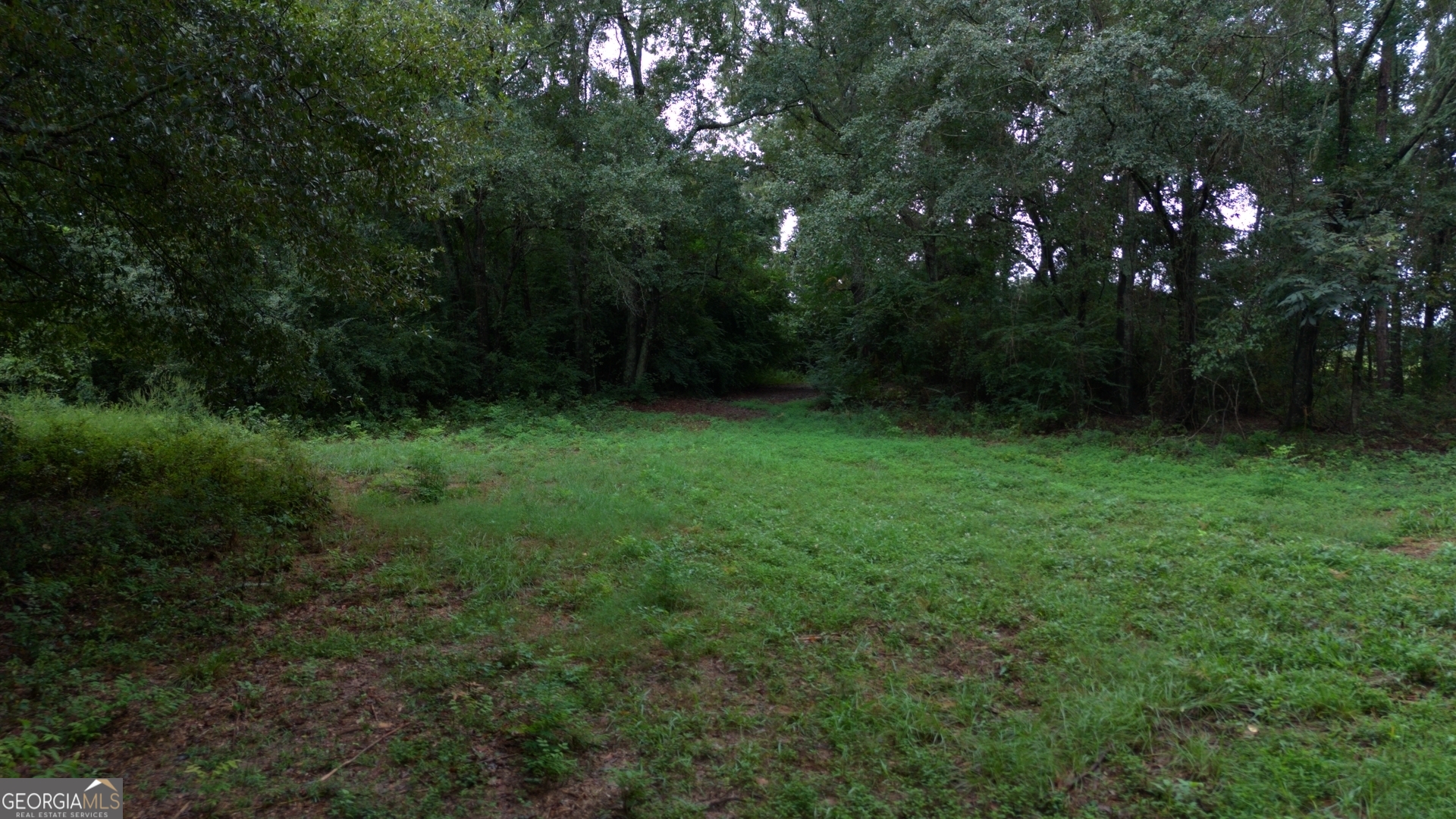 0 Grovania Road Property Photo 9