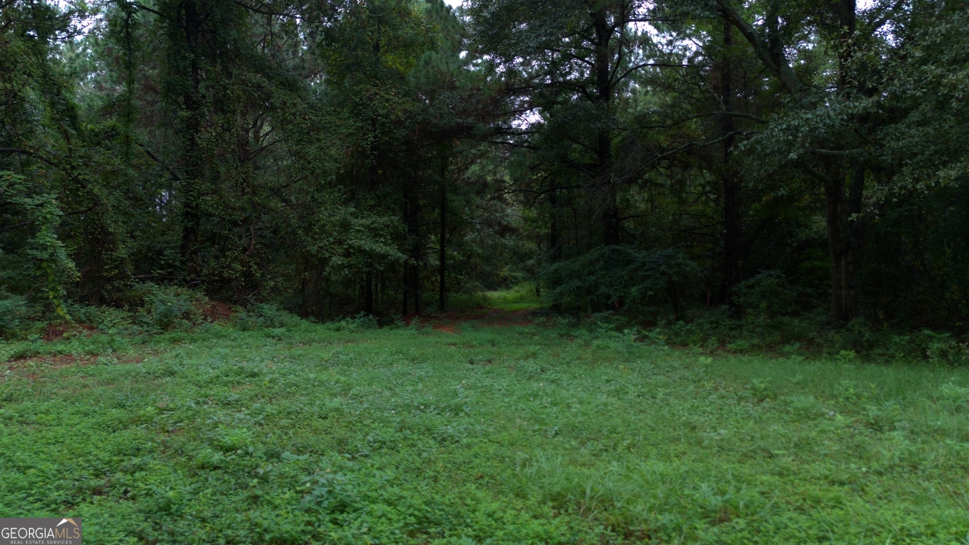 0 Grovania Road Property Photo 11