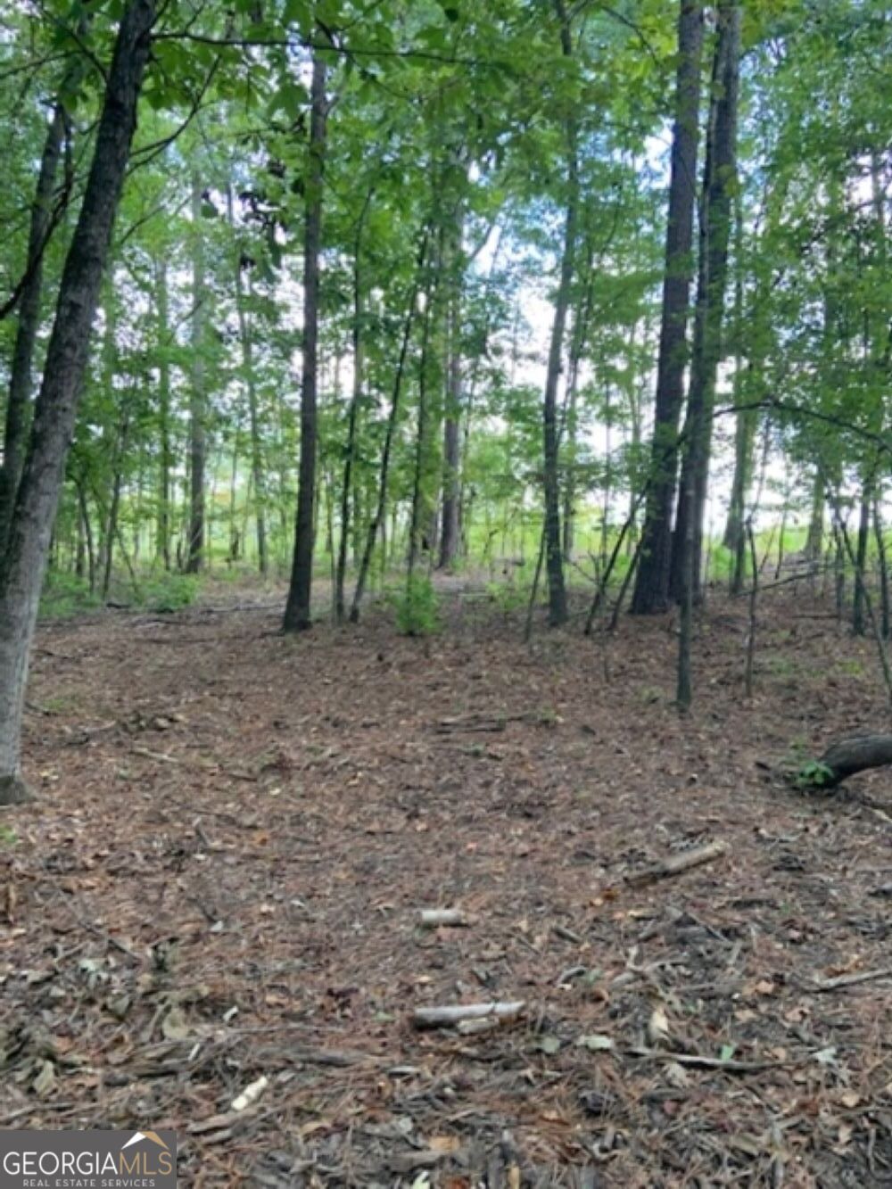 0 Grovania Road Property Photo 19