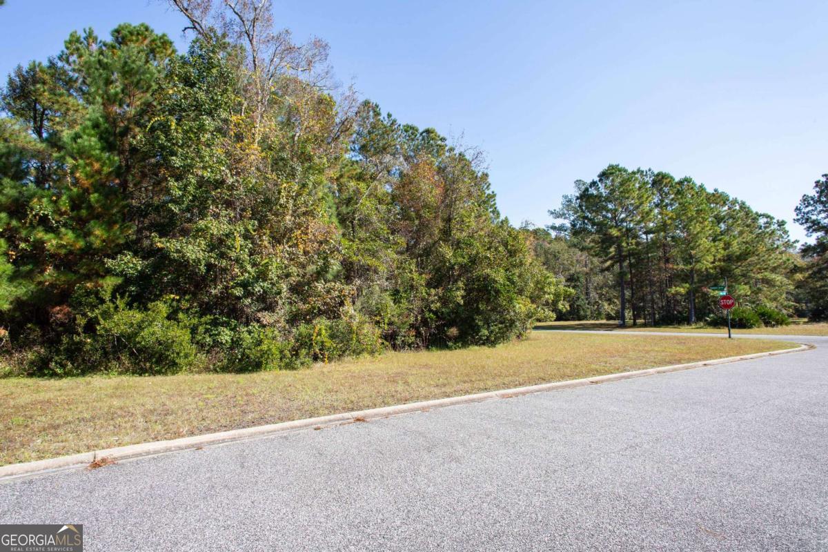 0 Timmons Drive Property Photo 6