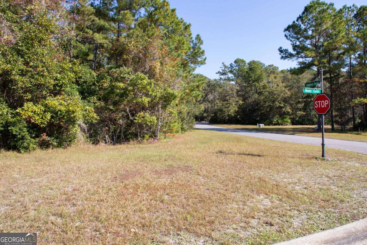 0 Timmons Drive Property Photo 8