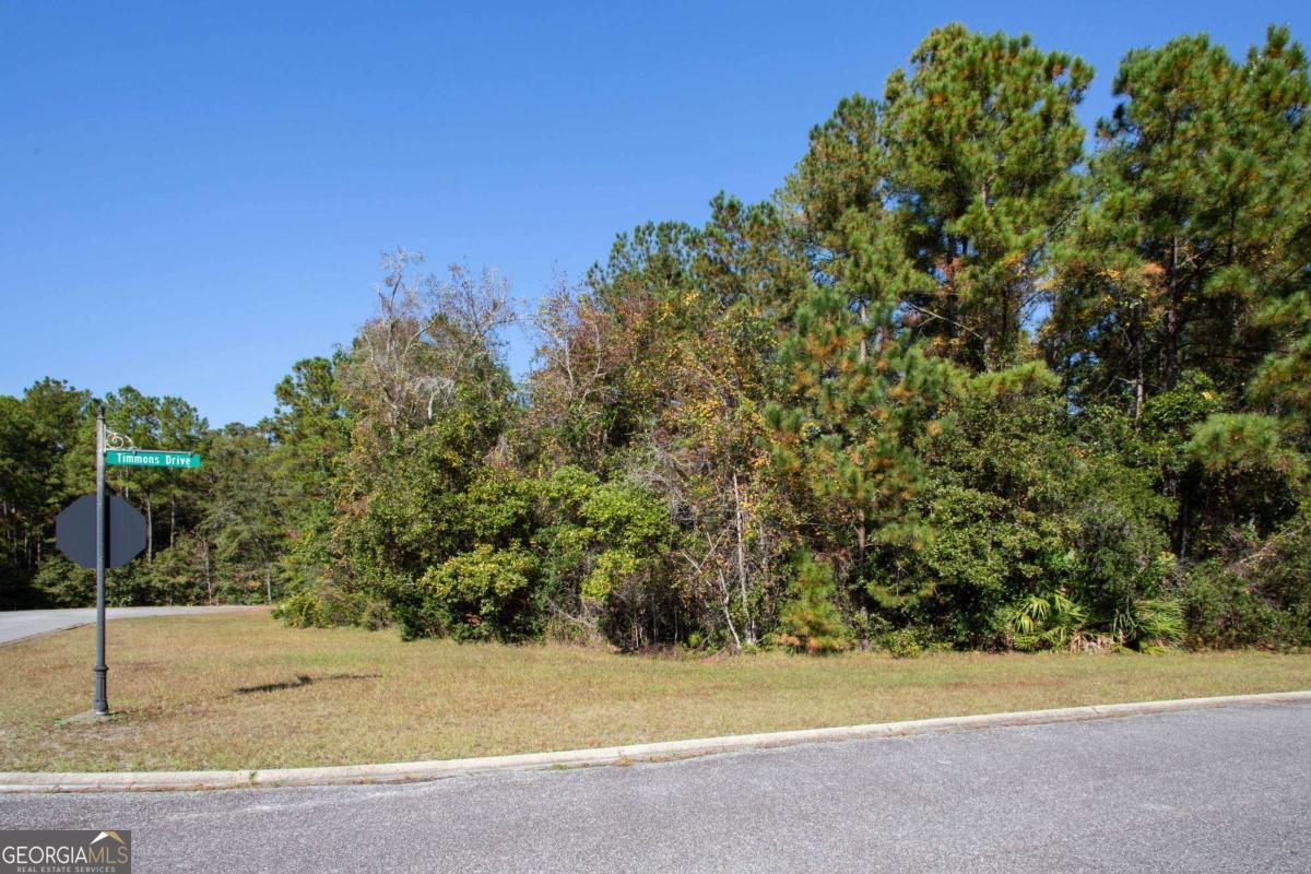 0 Timmons Drive Property Photo 9