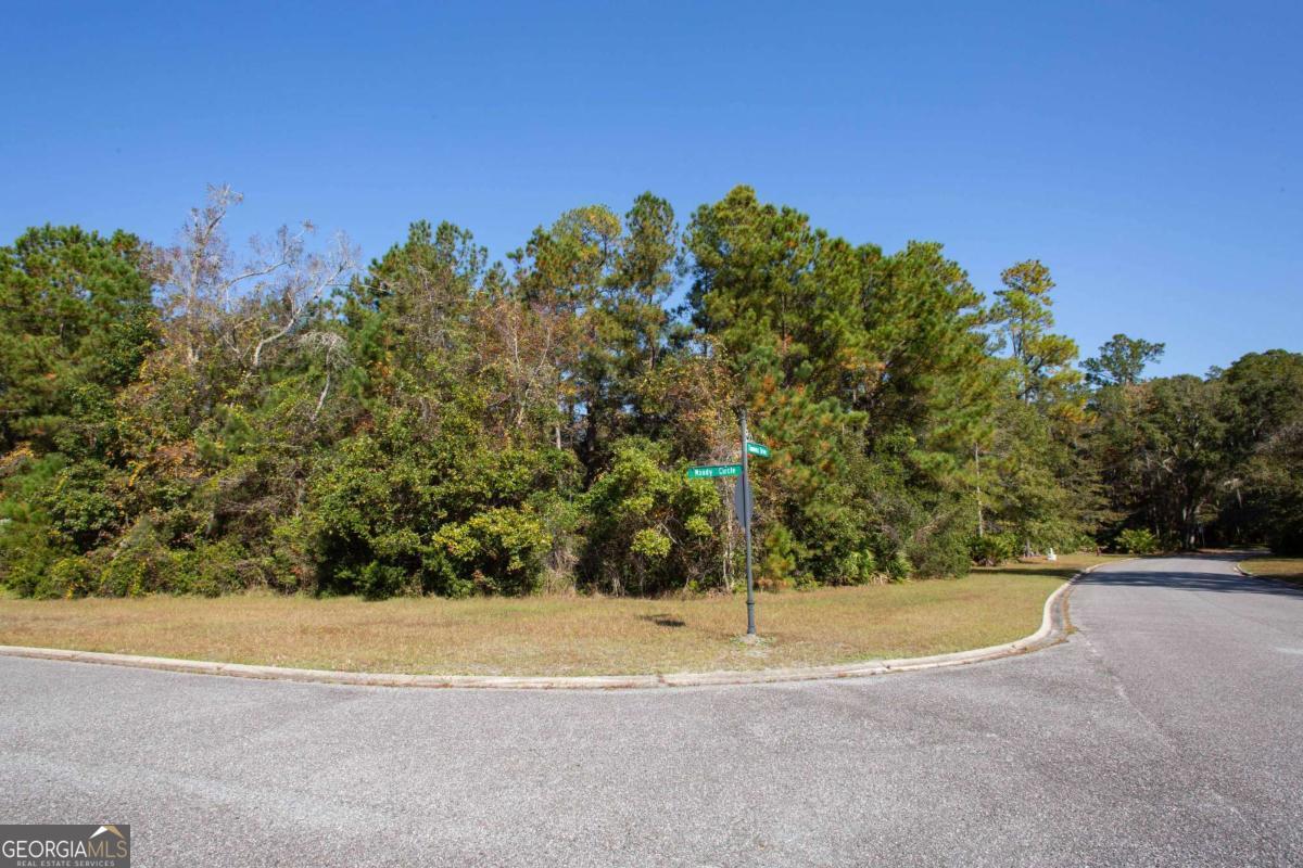 0 Timmons Drive Property Photo 10