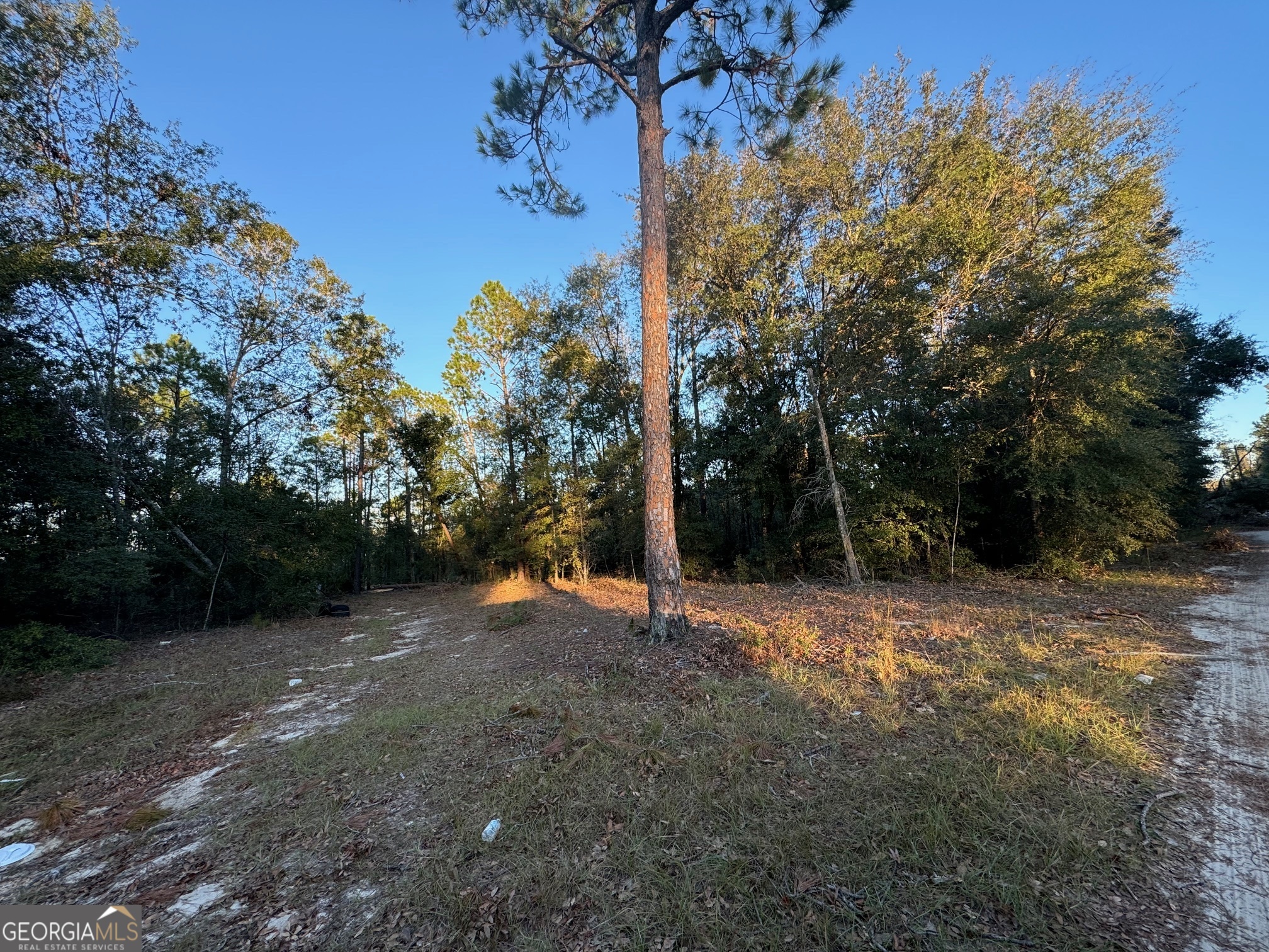 0 Us Hwy 280 Property Photo 20