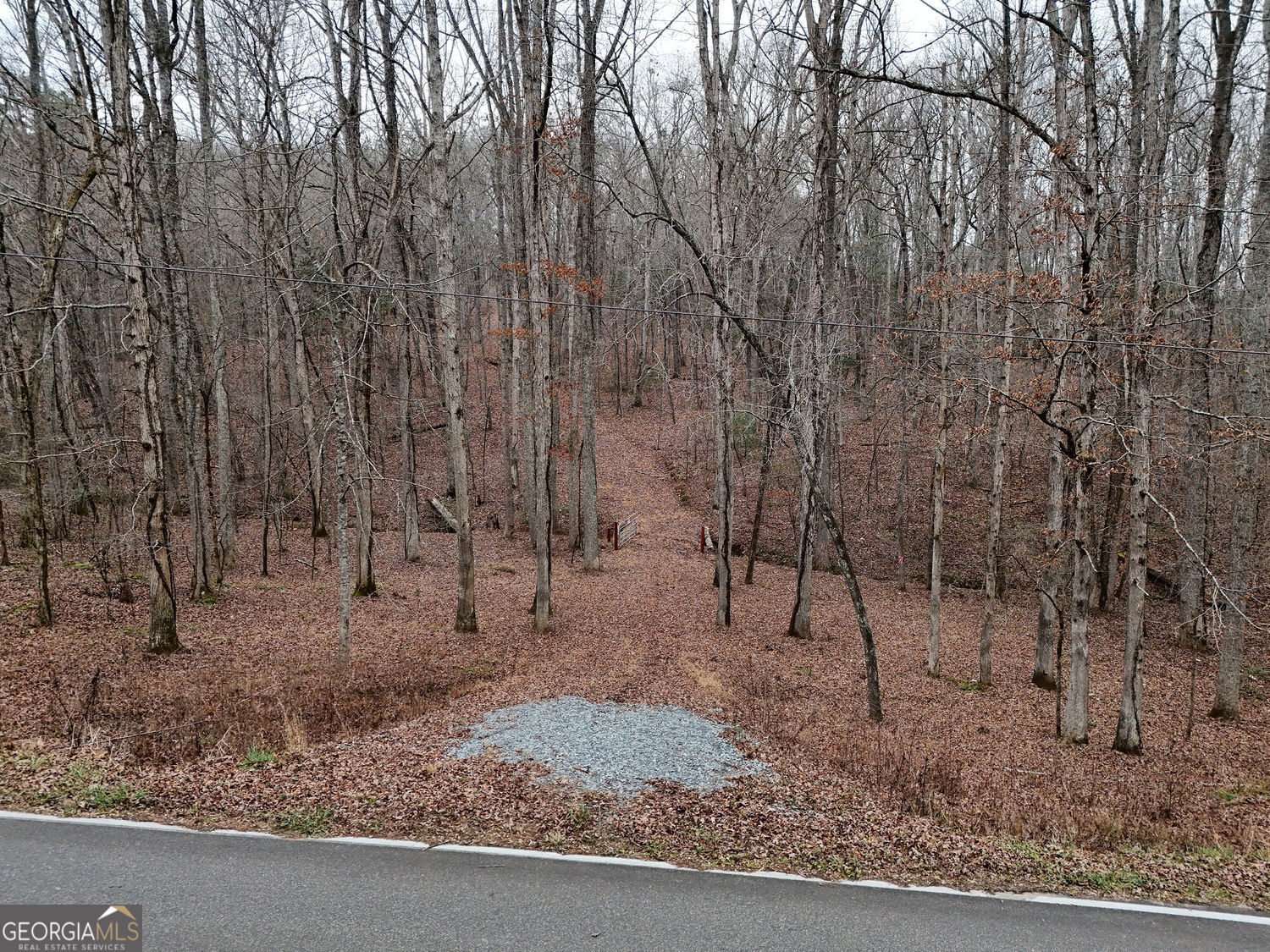 0 Dills Road Property Photo 3