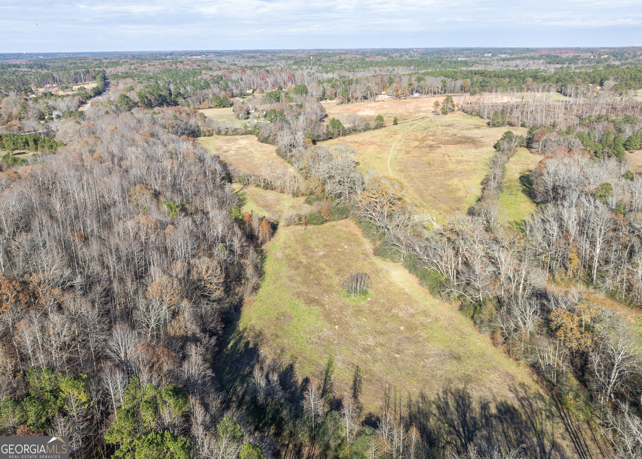 2538 Mount Zion Property Photo 8