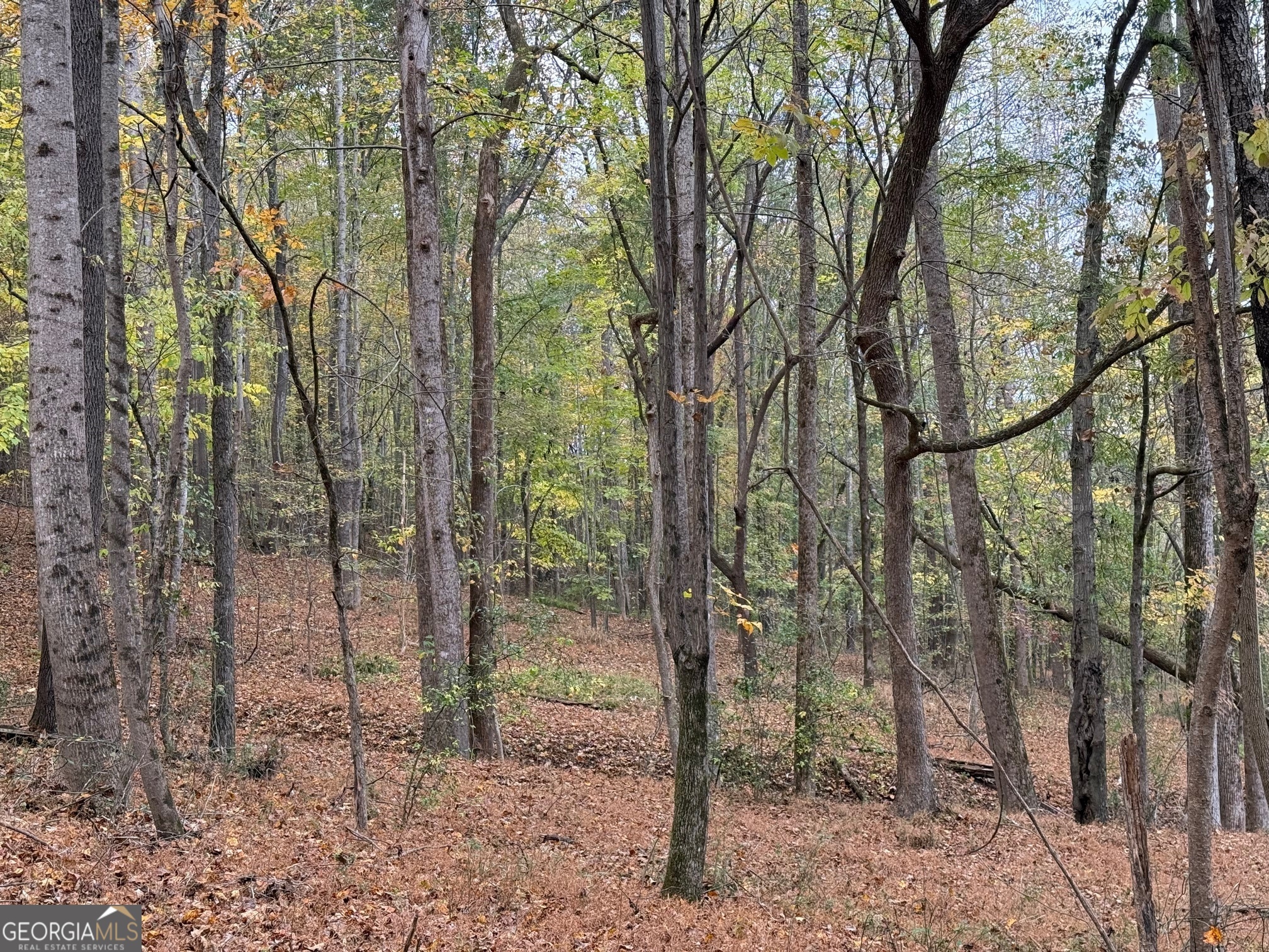 2538 Mount Zion Property Photo 13