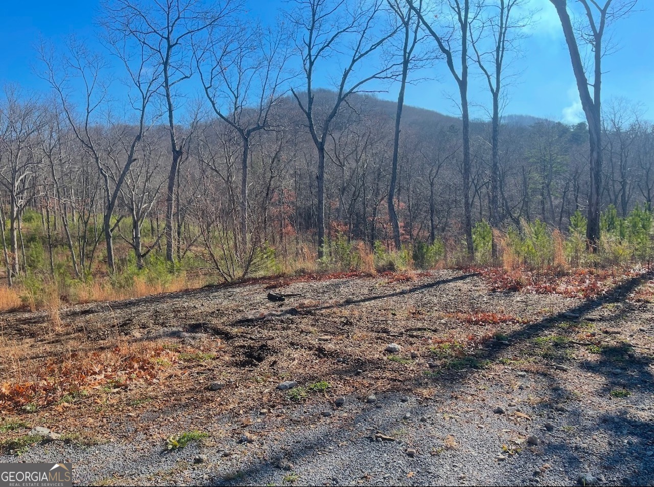 0 Yonah Lake Drive Property Photo 9