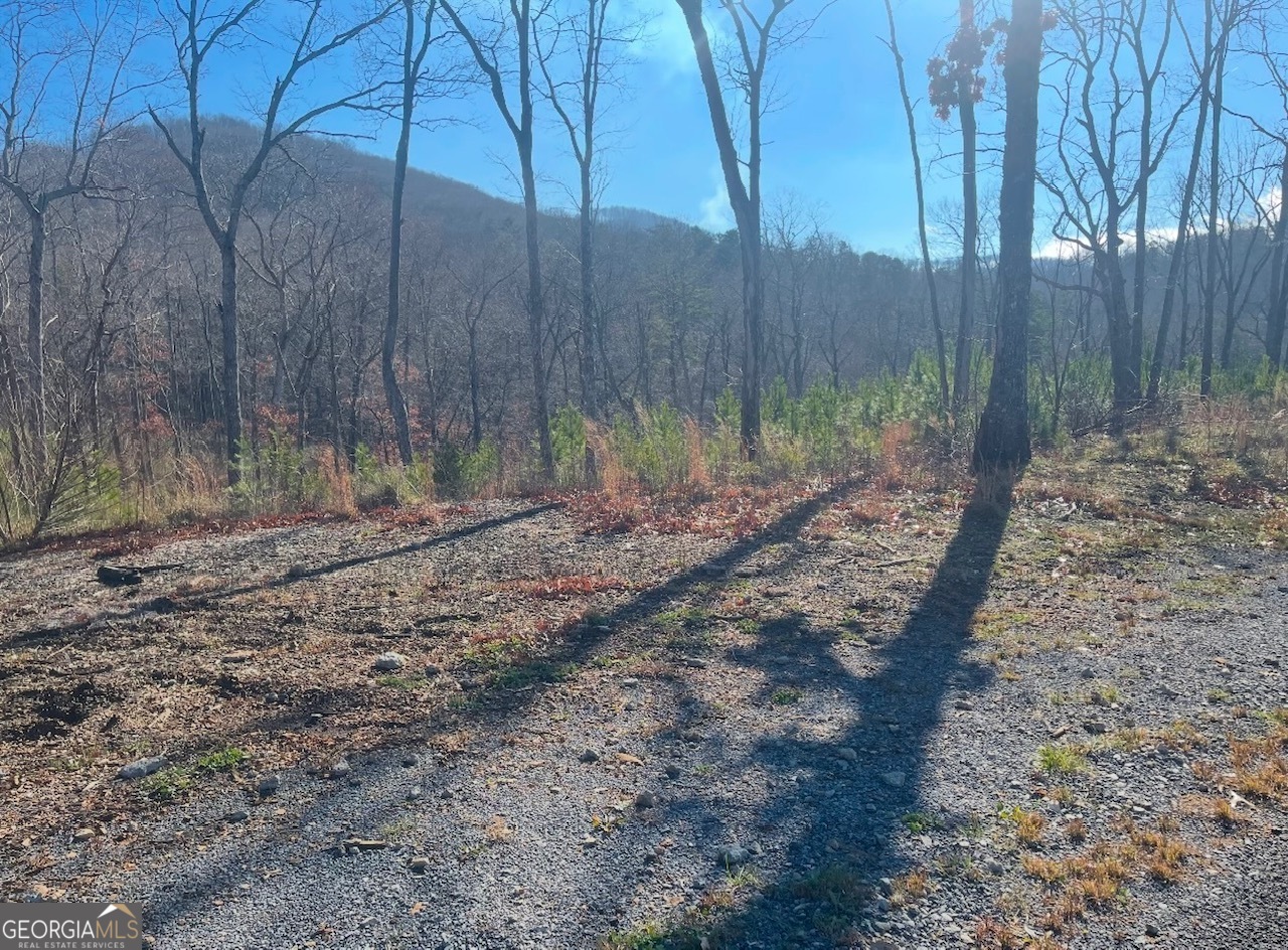 0 Yonah Lake Drive Property Photo 10