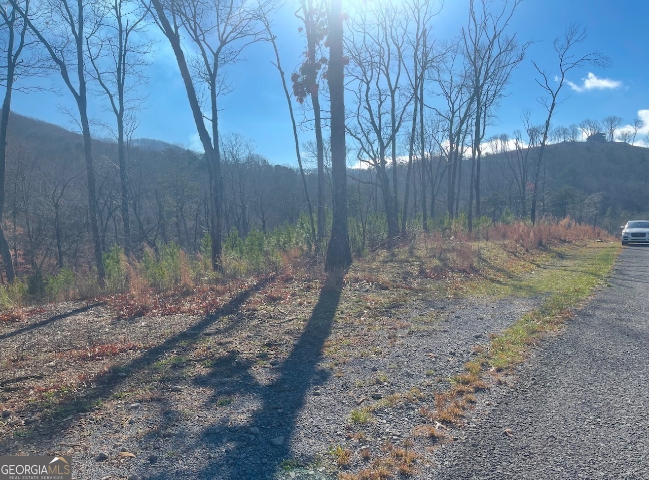 0 Yonah Lake Drive Property Photo 11