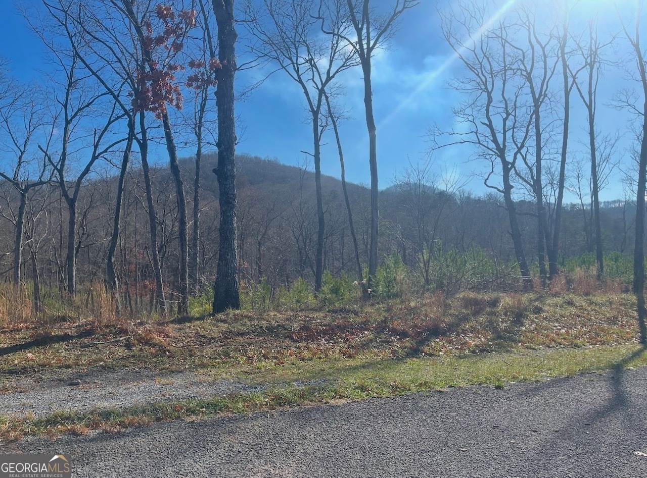 0 Yonah Lake Drive Property Photo 14