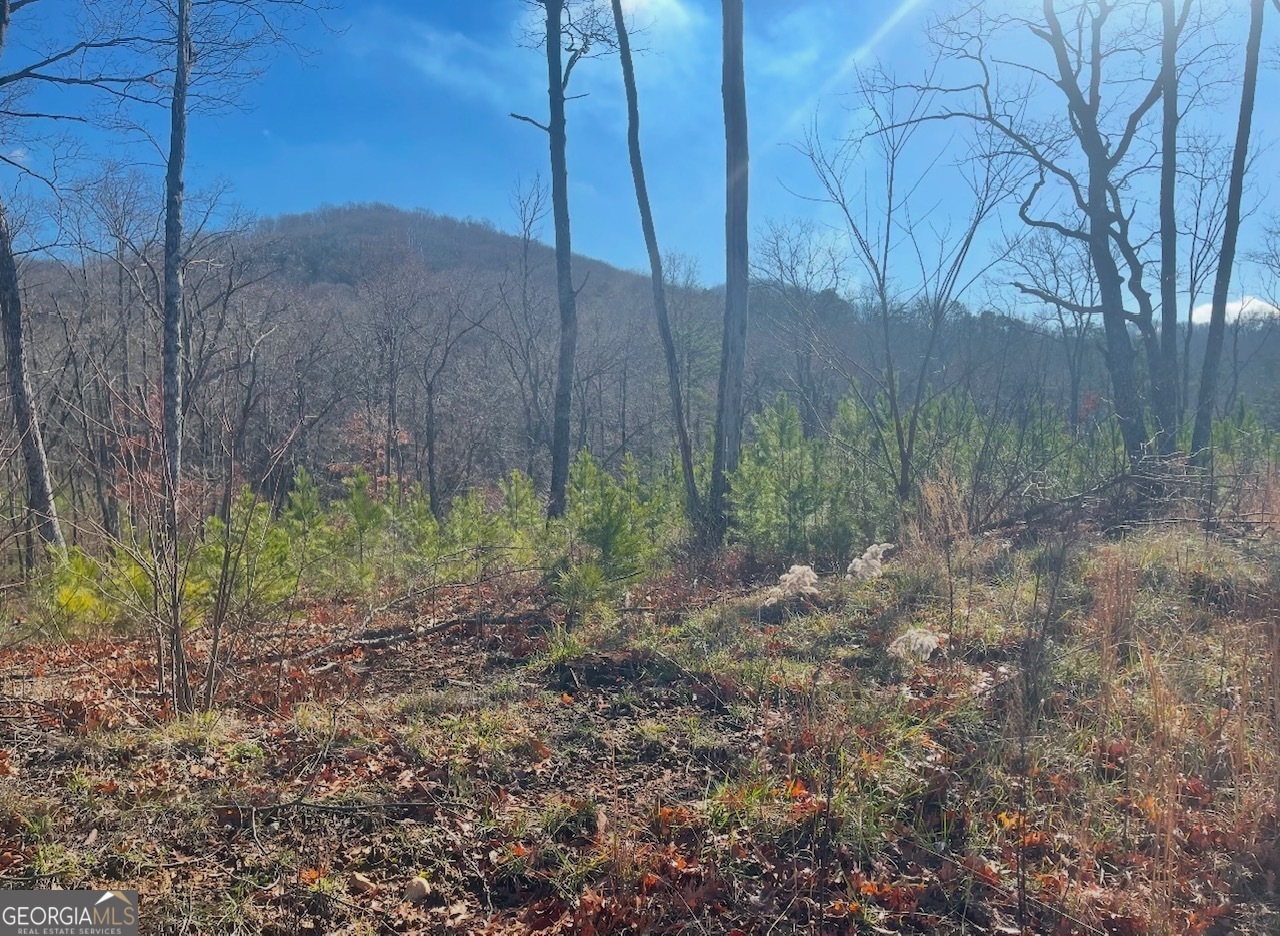 0 Yonah Lake Drive Property Photo 15