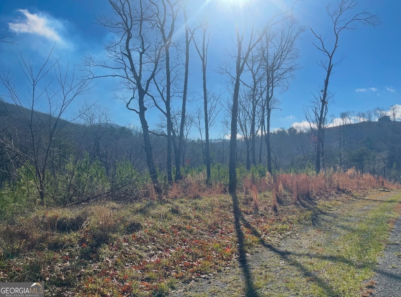 0 Yonah Lake Drive Property Photo 16