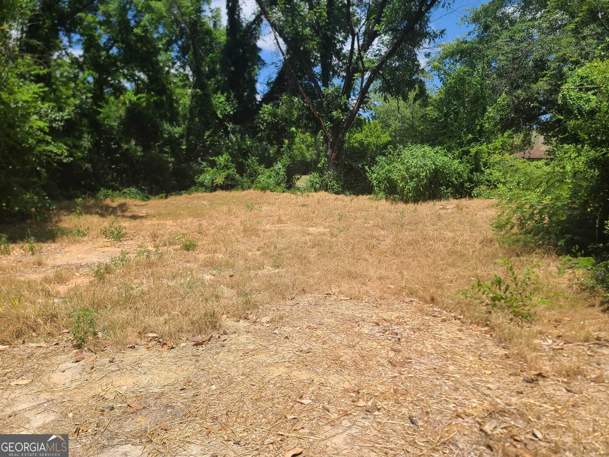 4187 Buena Vista Avenue Property Photo 5