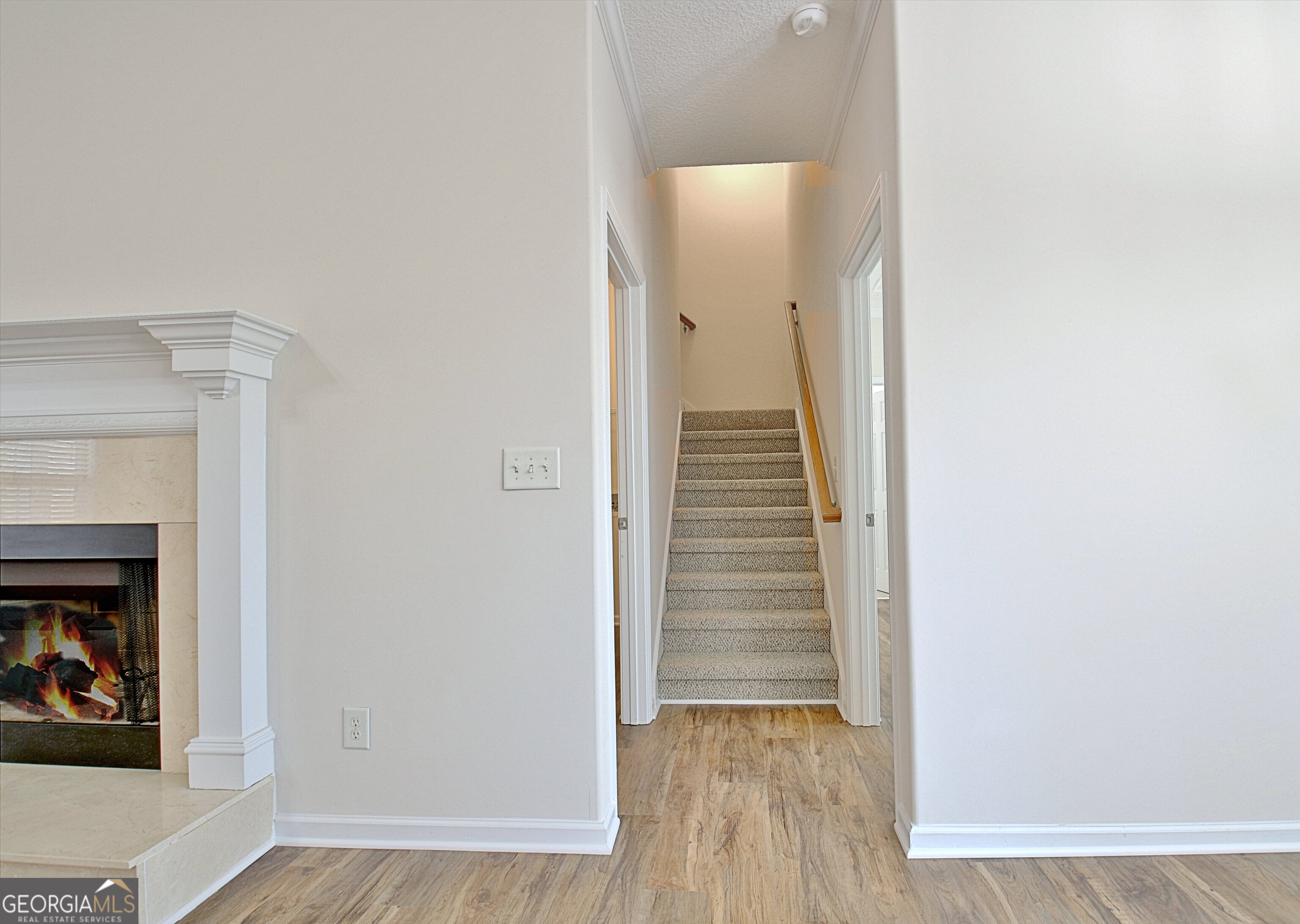 33 Ball Street Property Photo 36