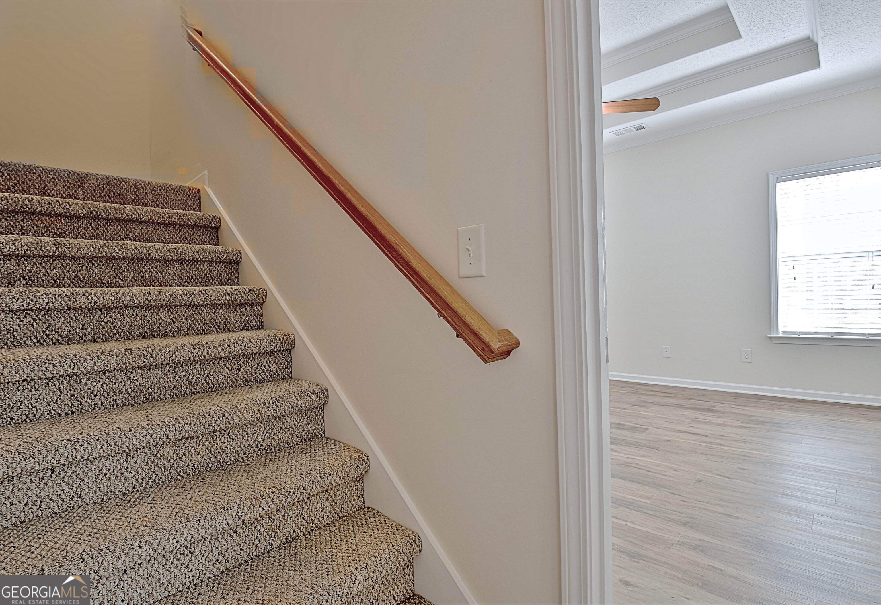 33 Ball Street Property Photo 51