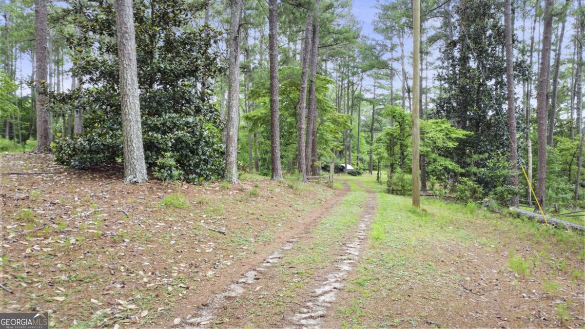 0 Hutcheson Ferry Road Property Photo 10