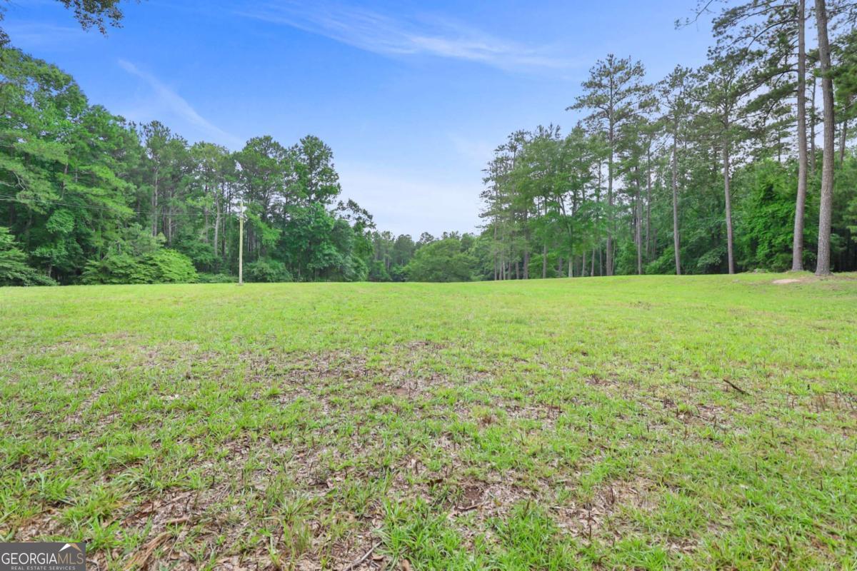 0 Hutcheson Ferry Road Property Photo 18