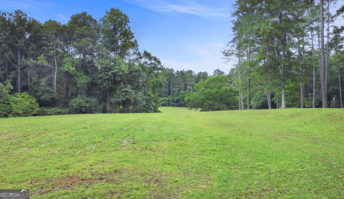 0 Hutcheson Ferry Road Property Photo 19