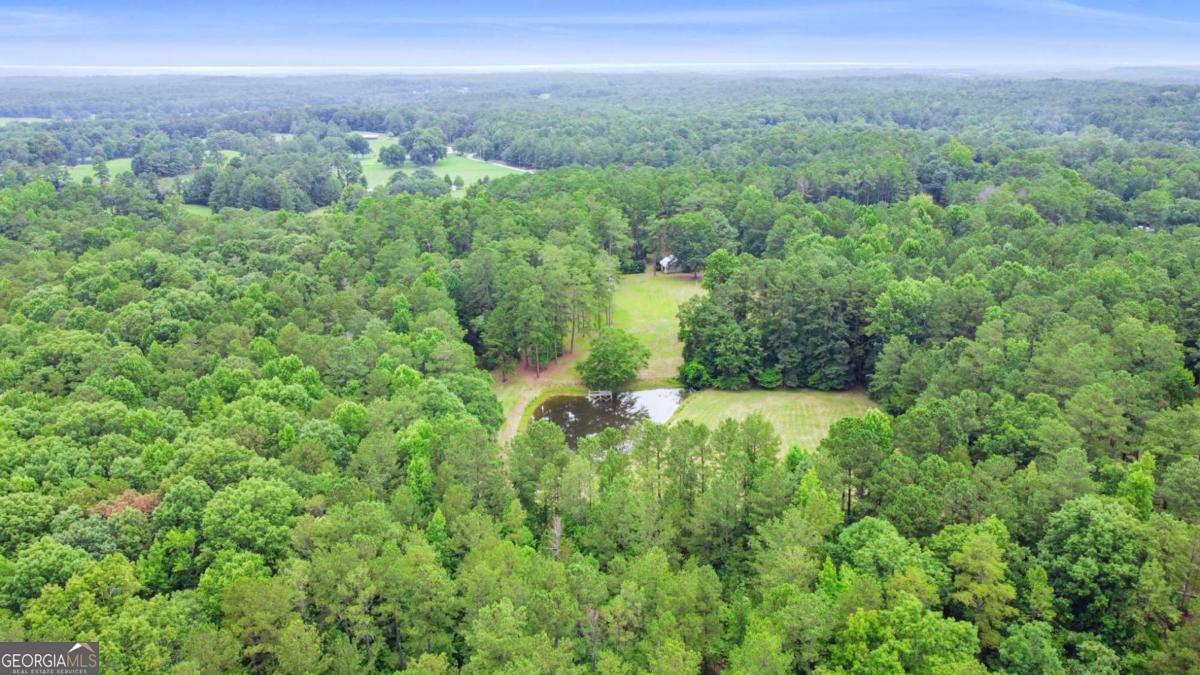 0 Hutcheson Ferry Road Property Photo 27