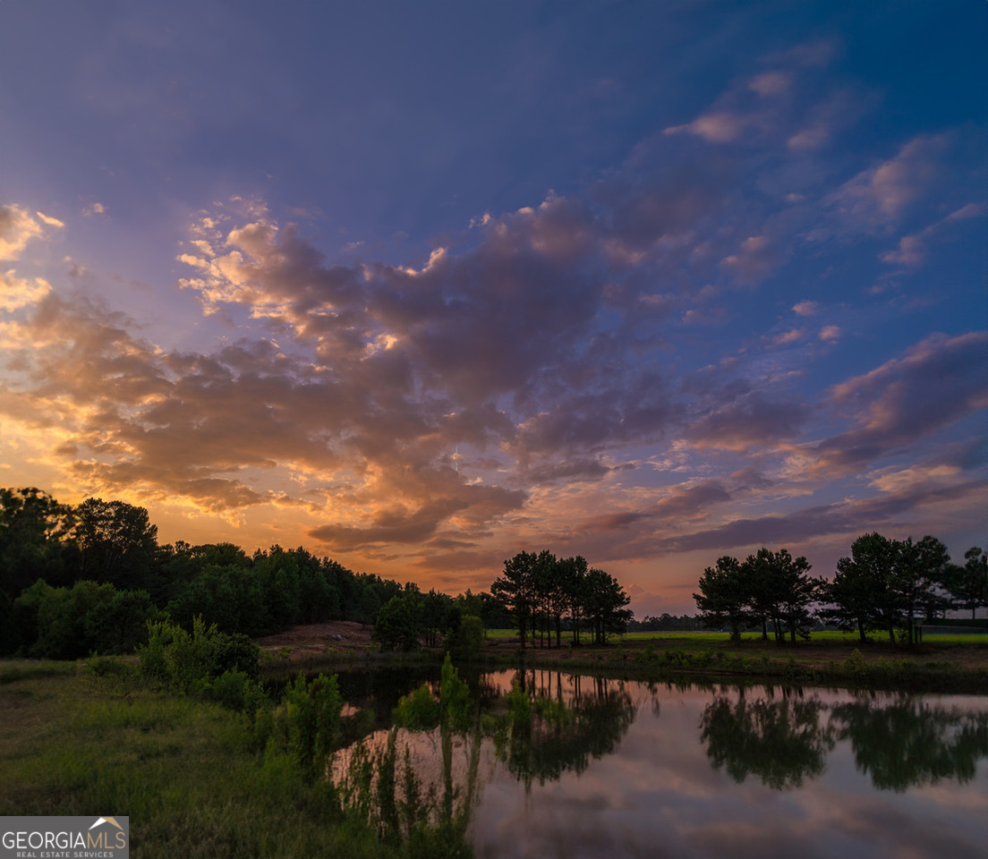 583 Hamil Road Property Photo 8
