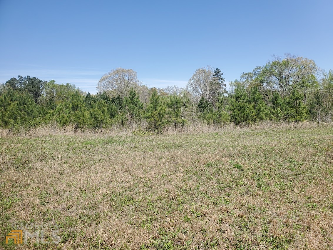 0 Nathan Dean Bypass Property Photo 3