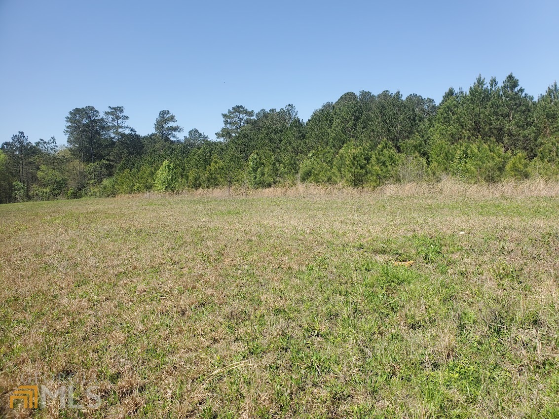 0 Nathan Dean Bypass Property Photo 4