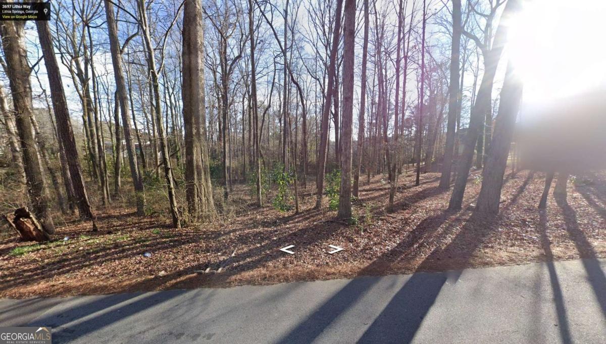 0 Lithia Way Property Photo 2