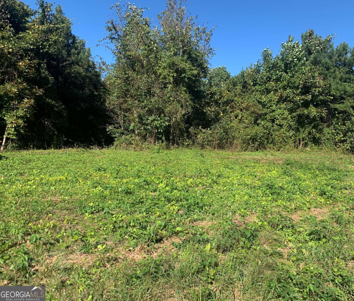 3555 Land Road Property Photo 3