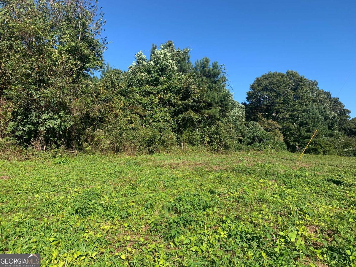 3555 Land Road Property Photo 5