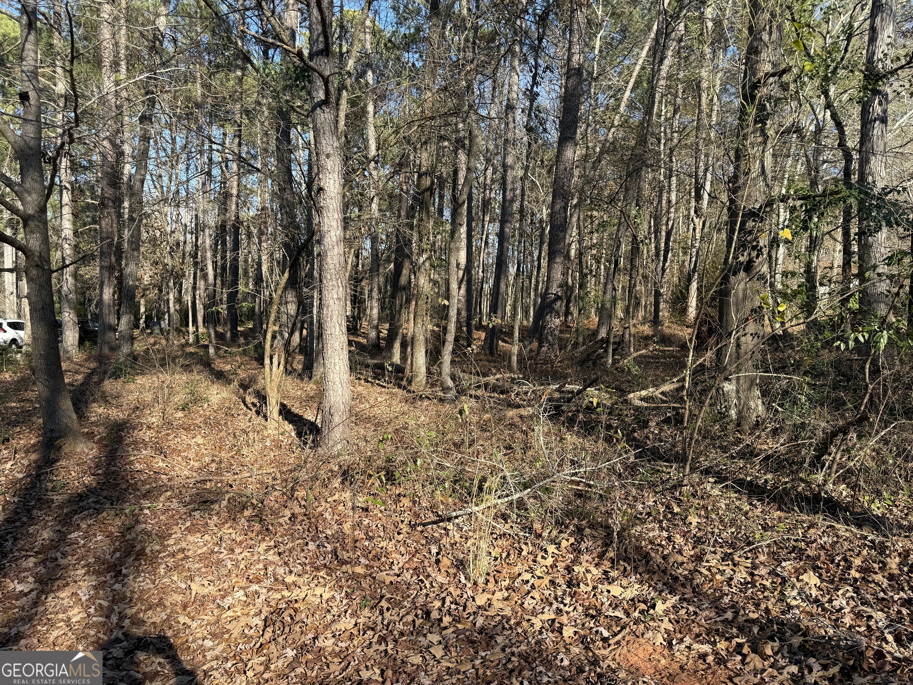 103 Cameron Pointe Drive