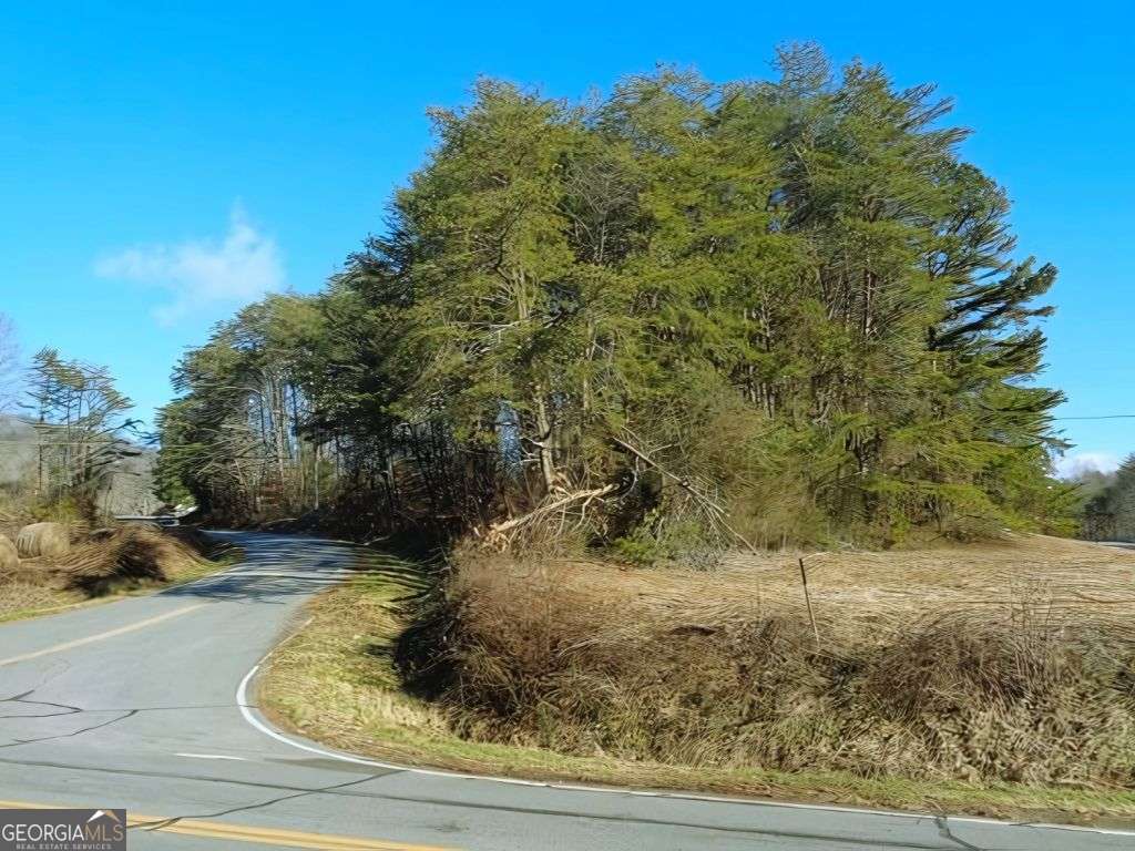 Hwy 64 Cold Branch Property Photo 6