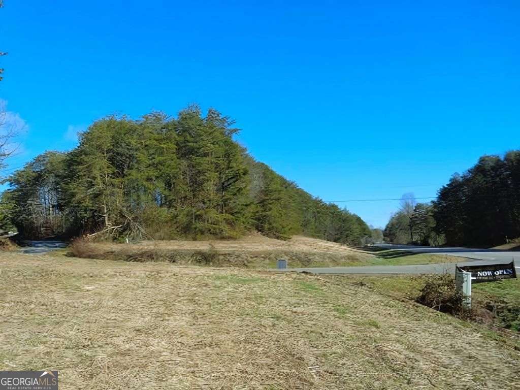 Hwy 64 Cold Branch Property Photo 7