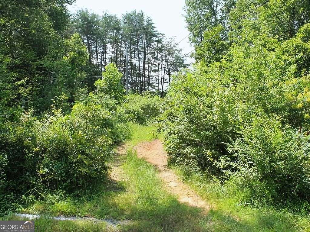 Hwy 64 Cold Branch Property Photo 8