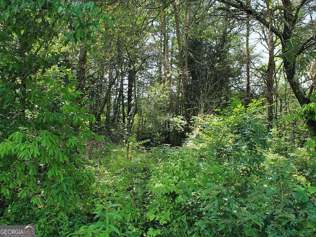 Hwy 64 Cold Branch Property Photo 9