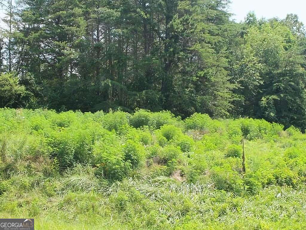 Hwy 64 Cold Branch Property Photo 10