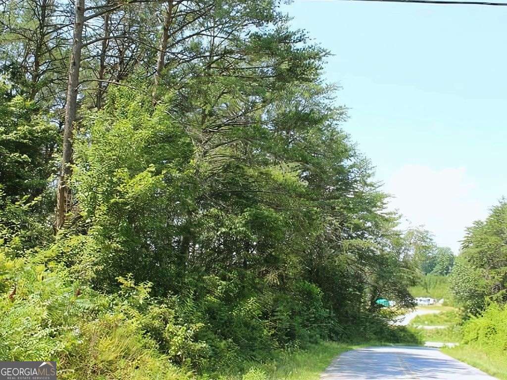 Hwy 64 Cold Branch Property Photo 11