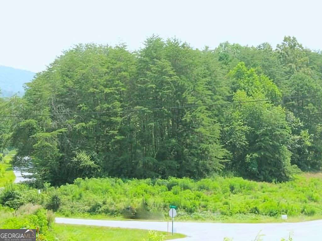 Hwy 64 Cold Branch Property Photo 12