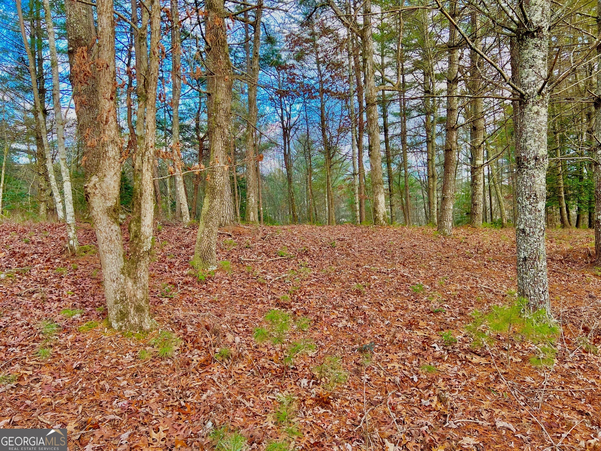 0 Hawks View Property Photo 1