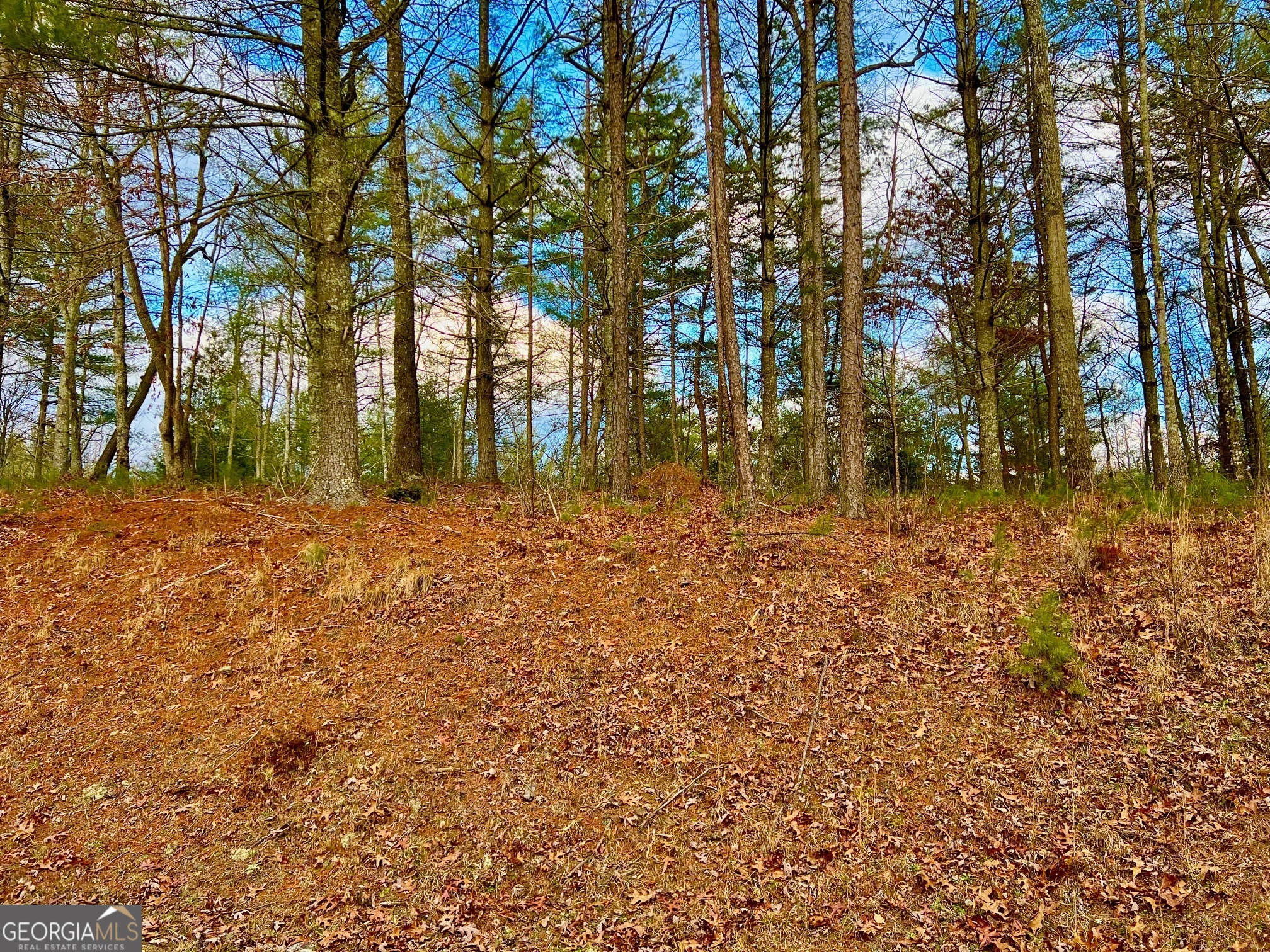 0 Hawks View Property Photo 4