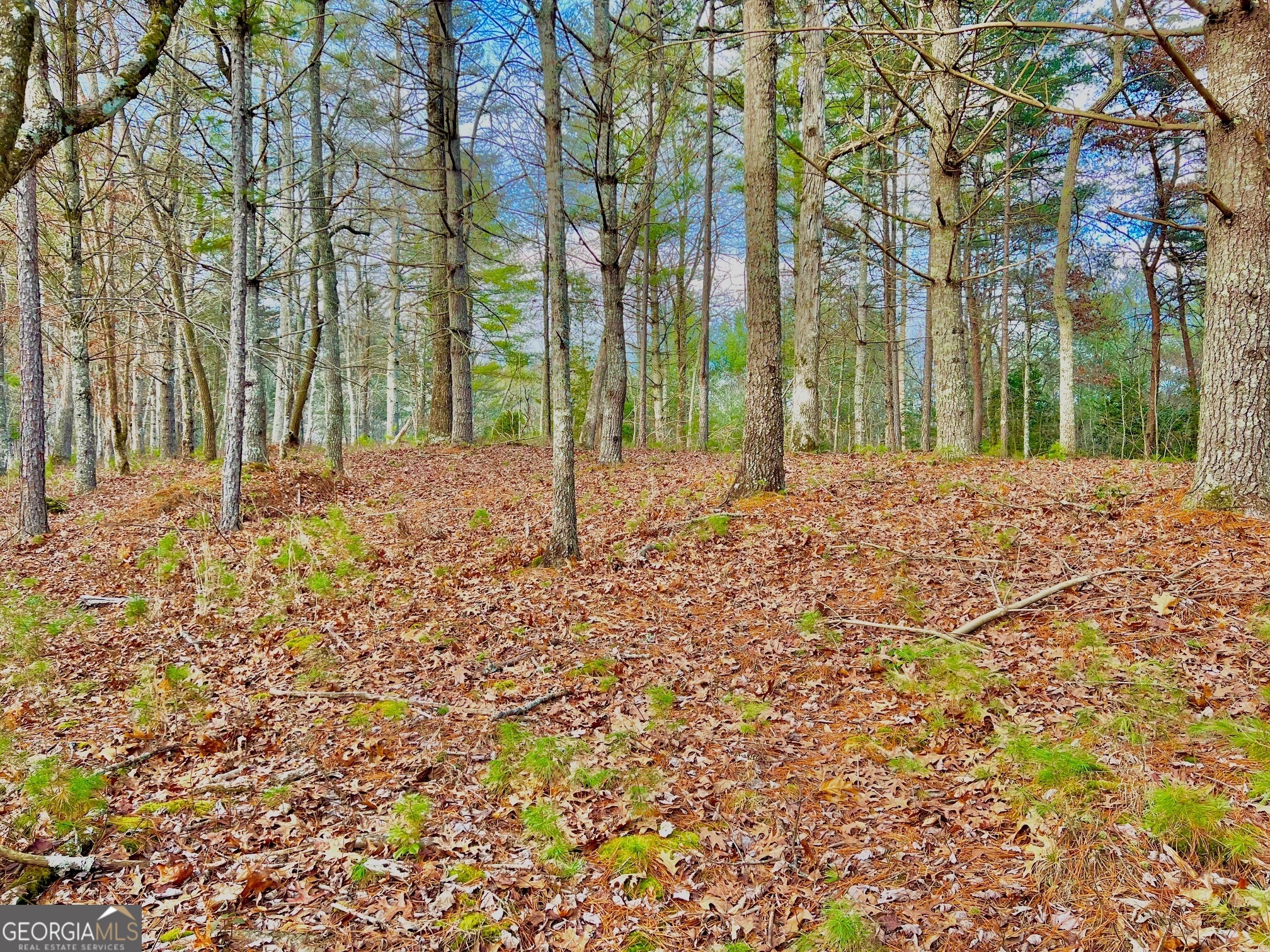 0 Hawks View Property Photo 5