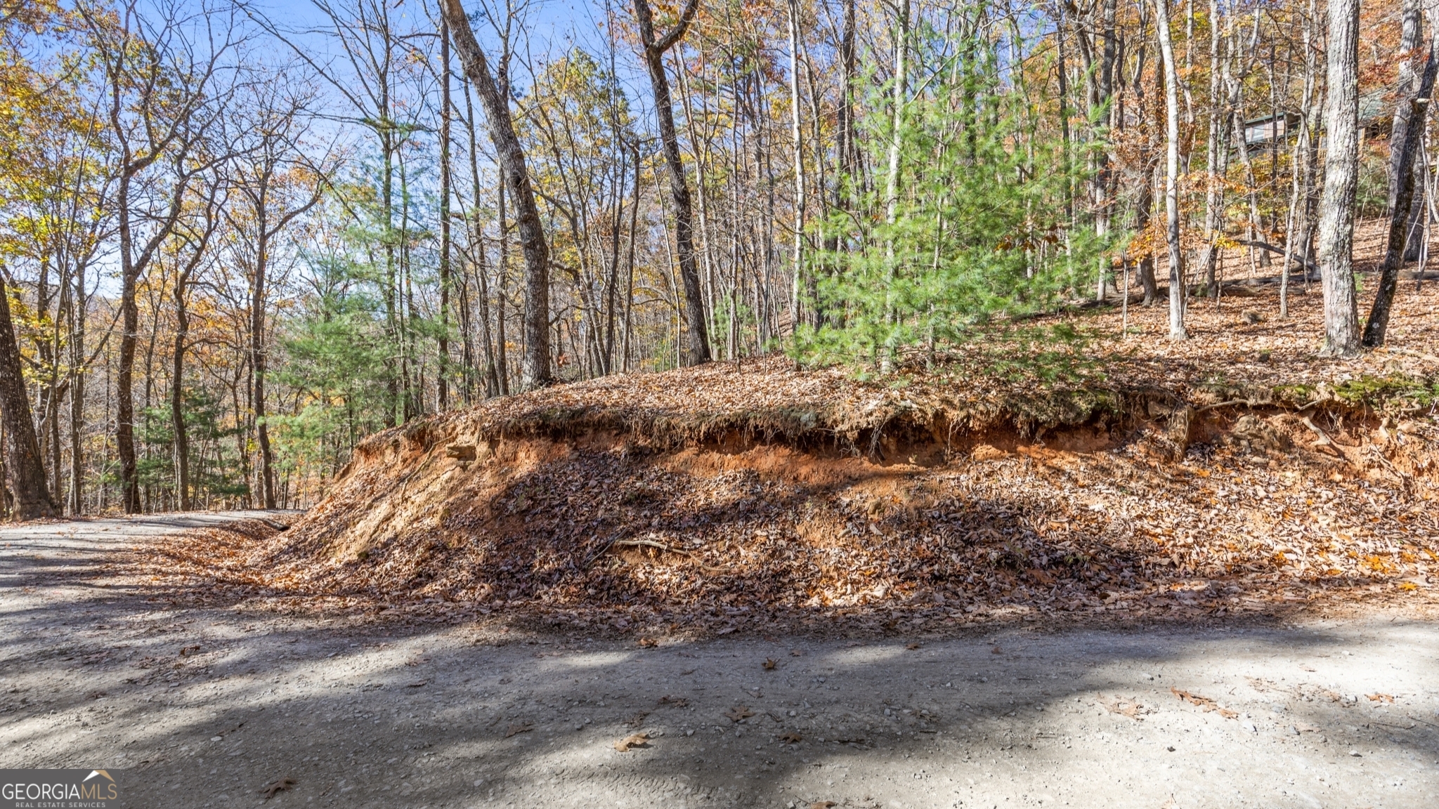 Lot 56 Heards Ridge Road Property Photo 5