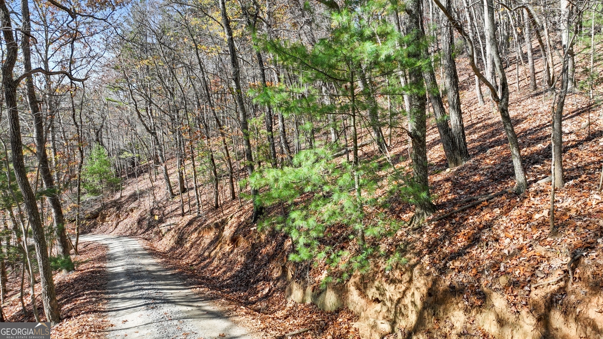 Lot 56 Heards Ridge Road Property Photo 7