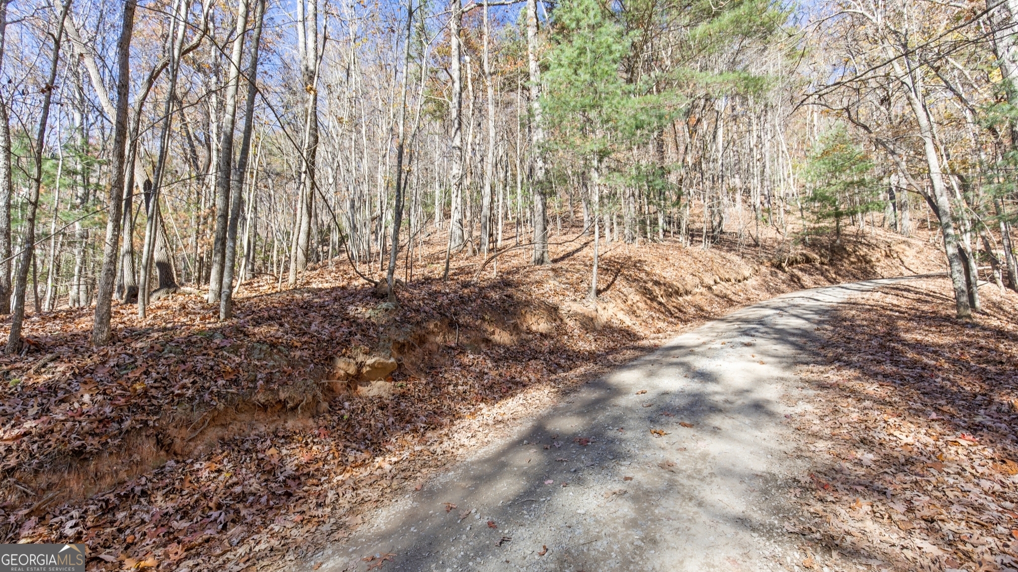 Lot 56 Heards Ridge Road Property Photo 8