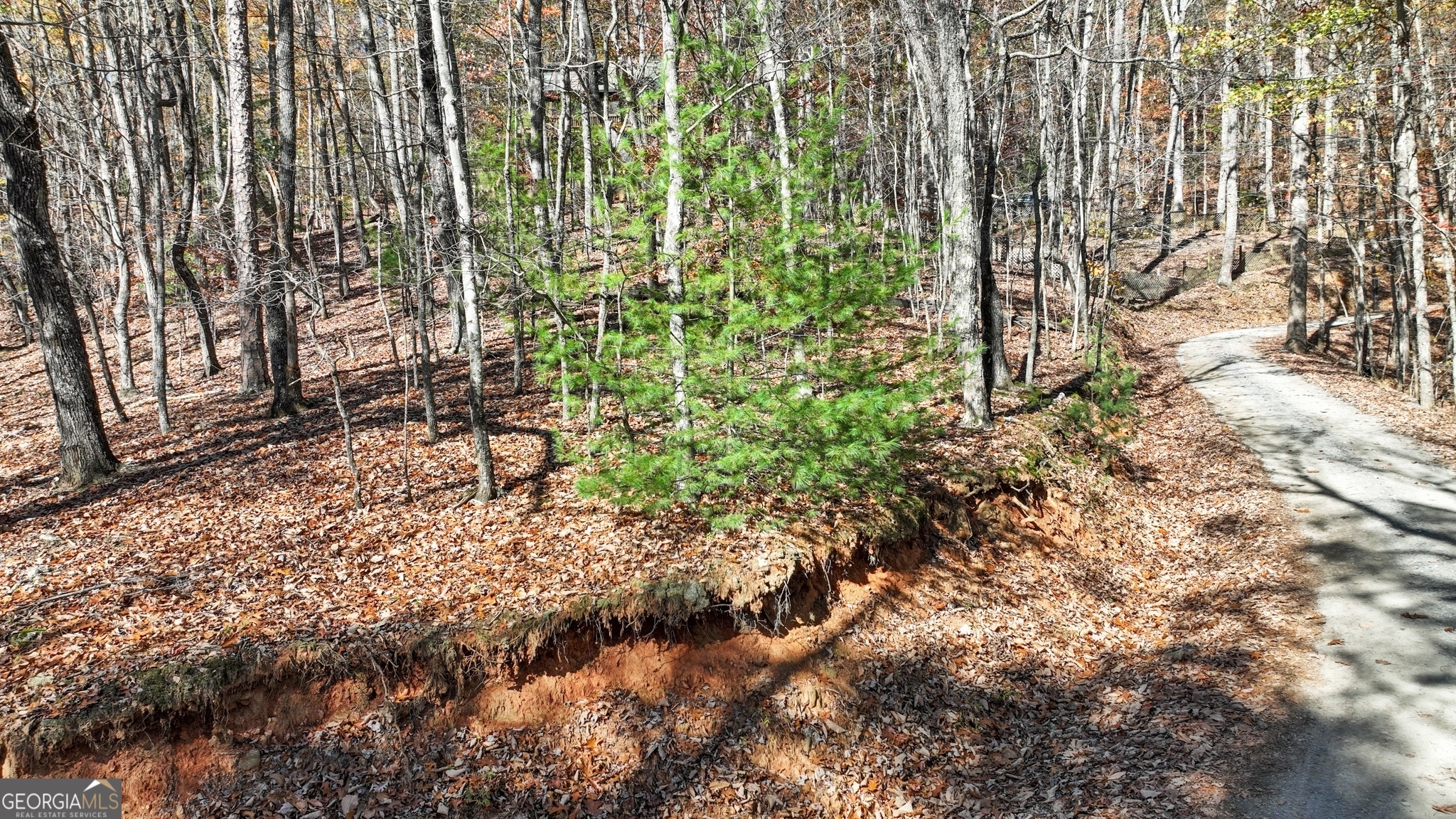 Lot 56 Heards Ridge Road Property Photo 9