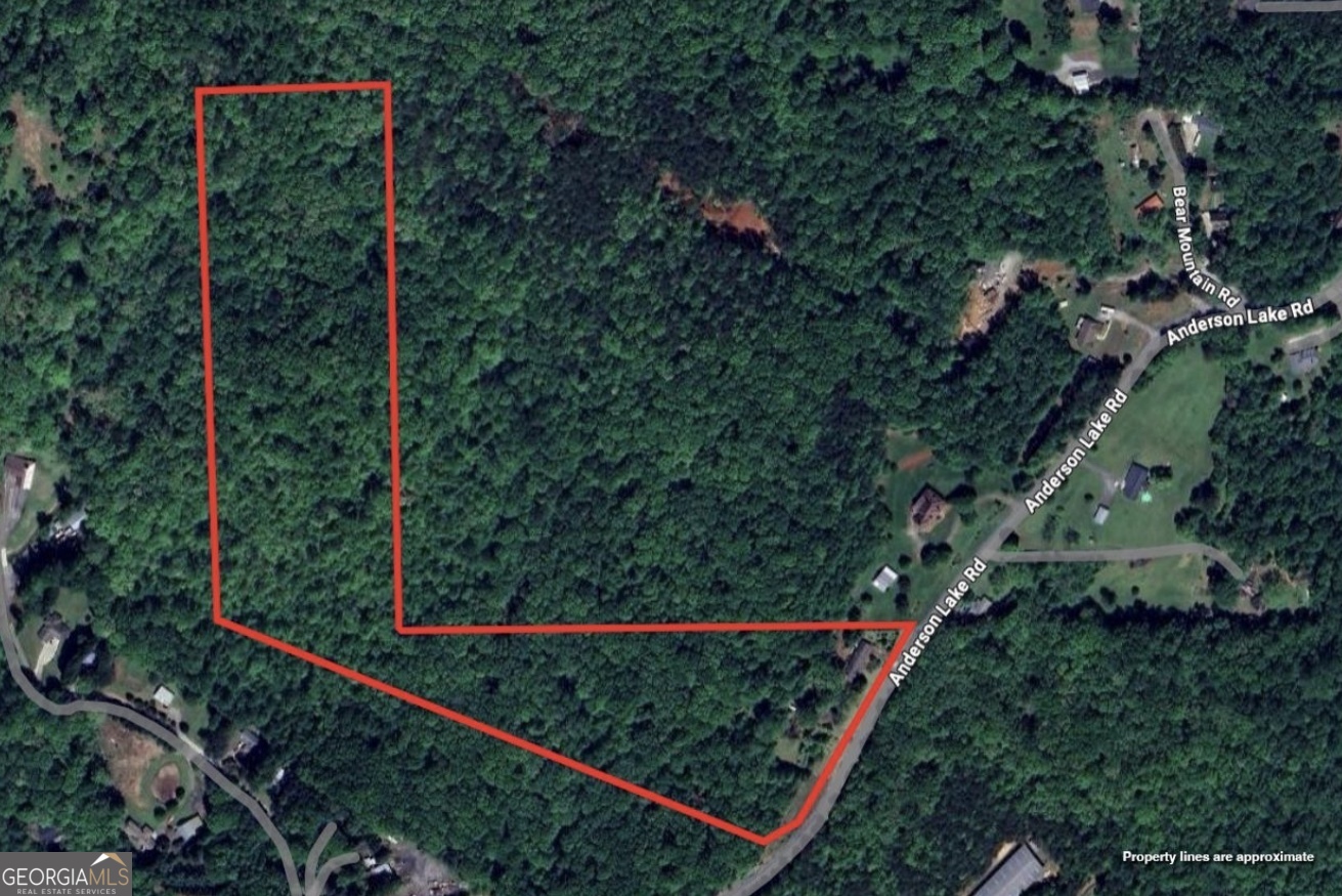 7175 Anderson Lake Road Property Photo 6
