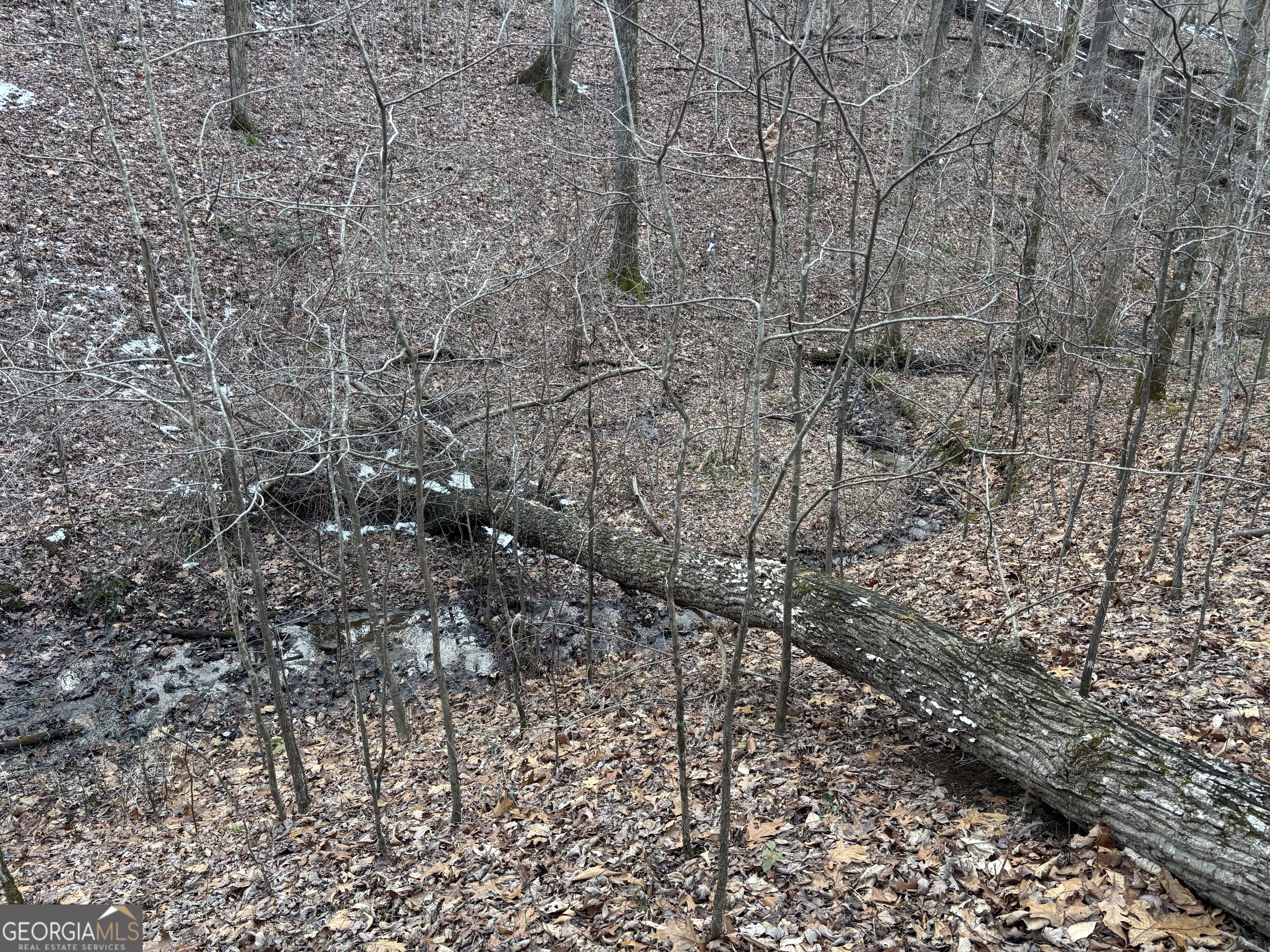 7175 Anderson Lake Road Property Photo 10