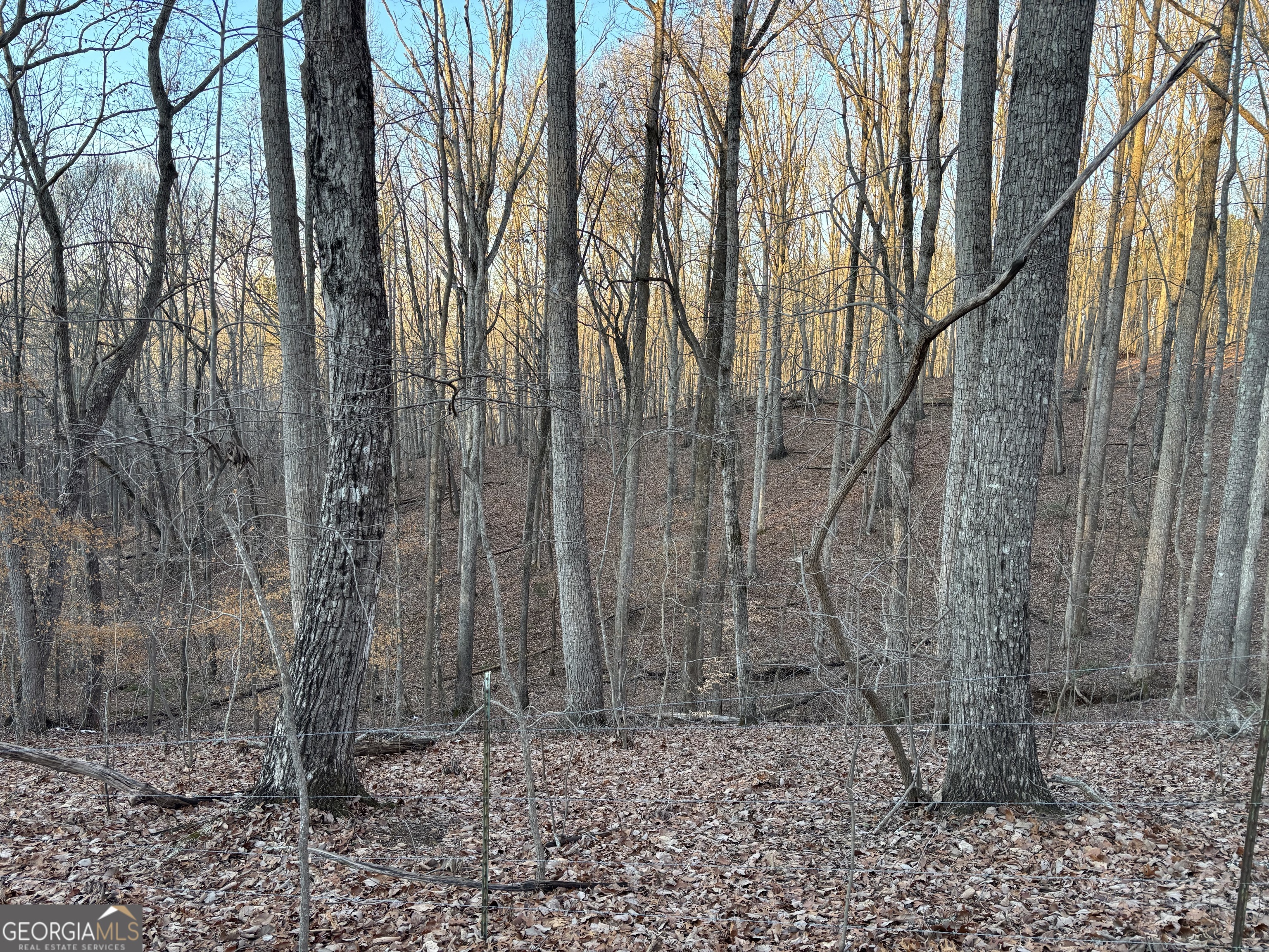 7175 Anderson Lake Road Property Photo 13